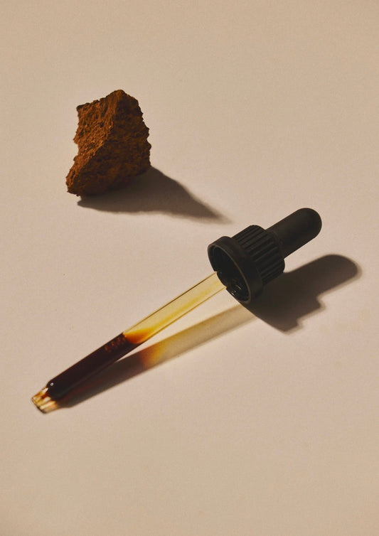 Chaga Mushroom Liquid Extract