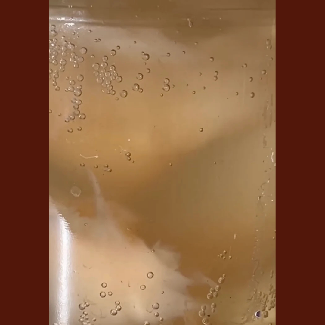FERMA KOMBUCHA